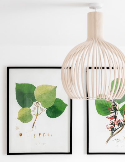 Modern Home Interior Design- Cheltenham